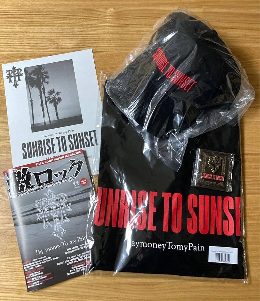 Pay money To my Pain ＆ GUNDOG 全種 10枚セット Pay money To my Pain ＆ GUNDOG 全種 10枚セット - メルカリ